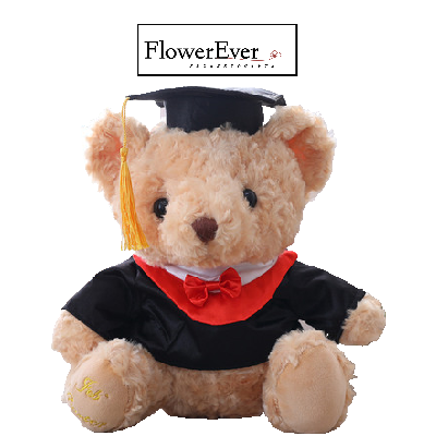 Cute Graduation Teddy Bear Gift for Graduates|White, Brown, Black