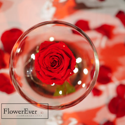 NYC Royal Beauty & the Beast Proposal Decor Package|Champagne + Red Roses