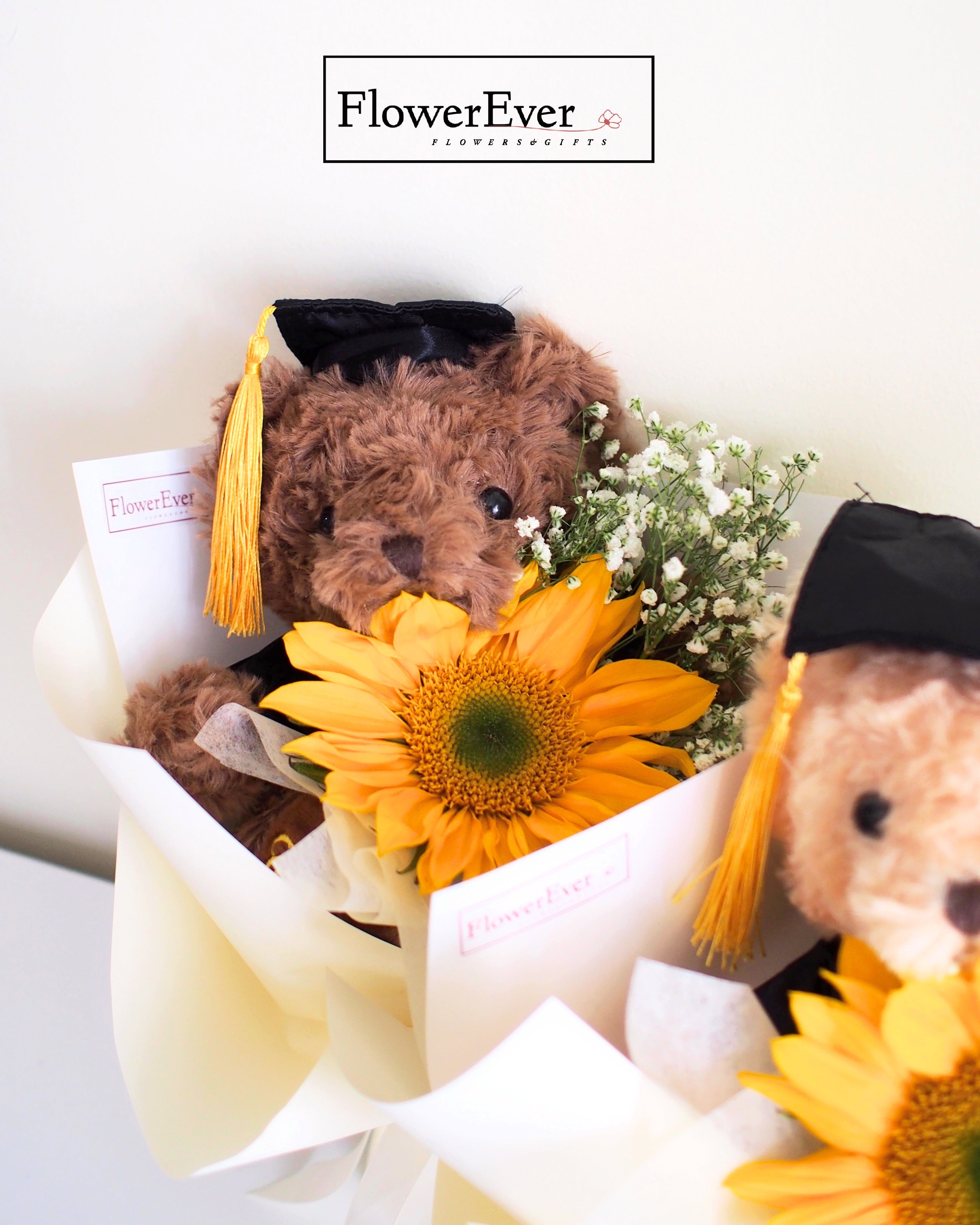 Sunflower Bouquet for Graduation with Beige Teddy Bear|1 Stem