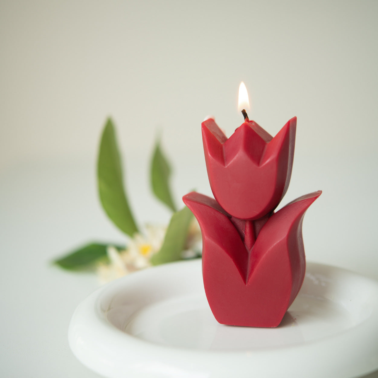 Indulge in the Tranquil Beauty of Spring Jasmine with the Tulip Candle