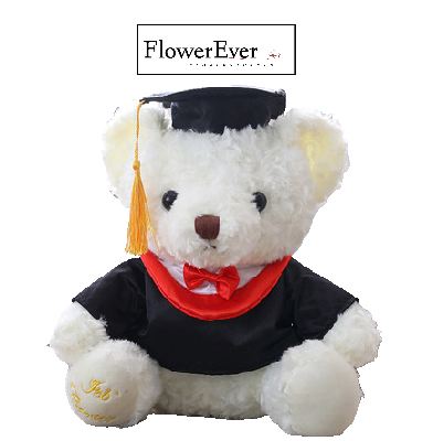 Cute Graduation Teddy Bear Gift for Graduates|White, Brown, Black
