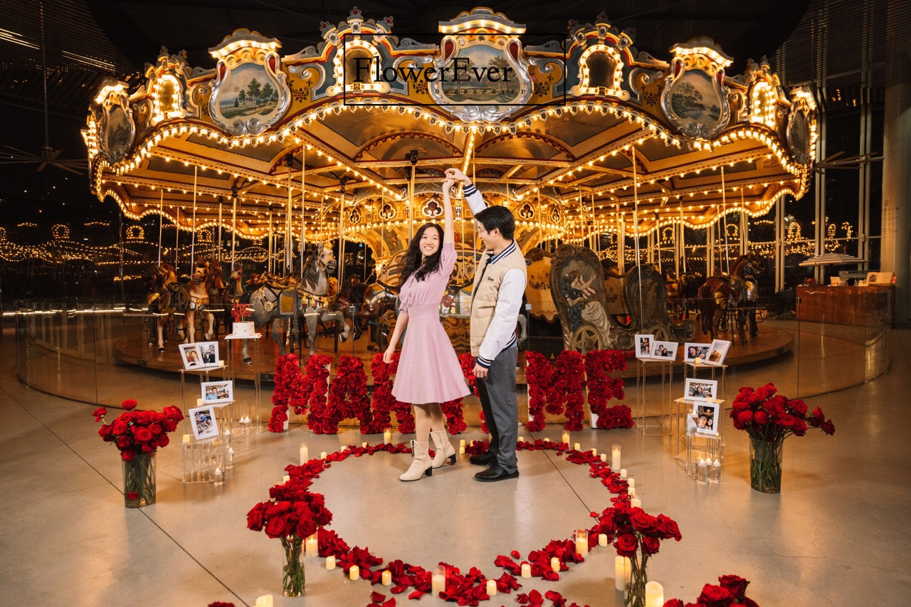 Jane's Carousel｜Red Roses Heart｜NYC Proposal