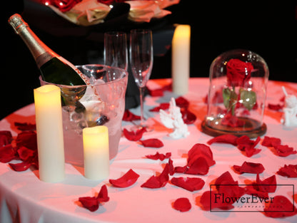 NYC Royal Beauty &amp; the Beast Proposal Decor Package｜Champagne + Red Roses