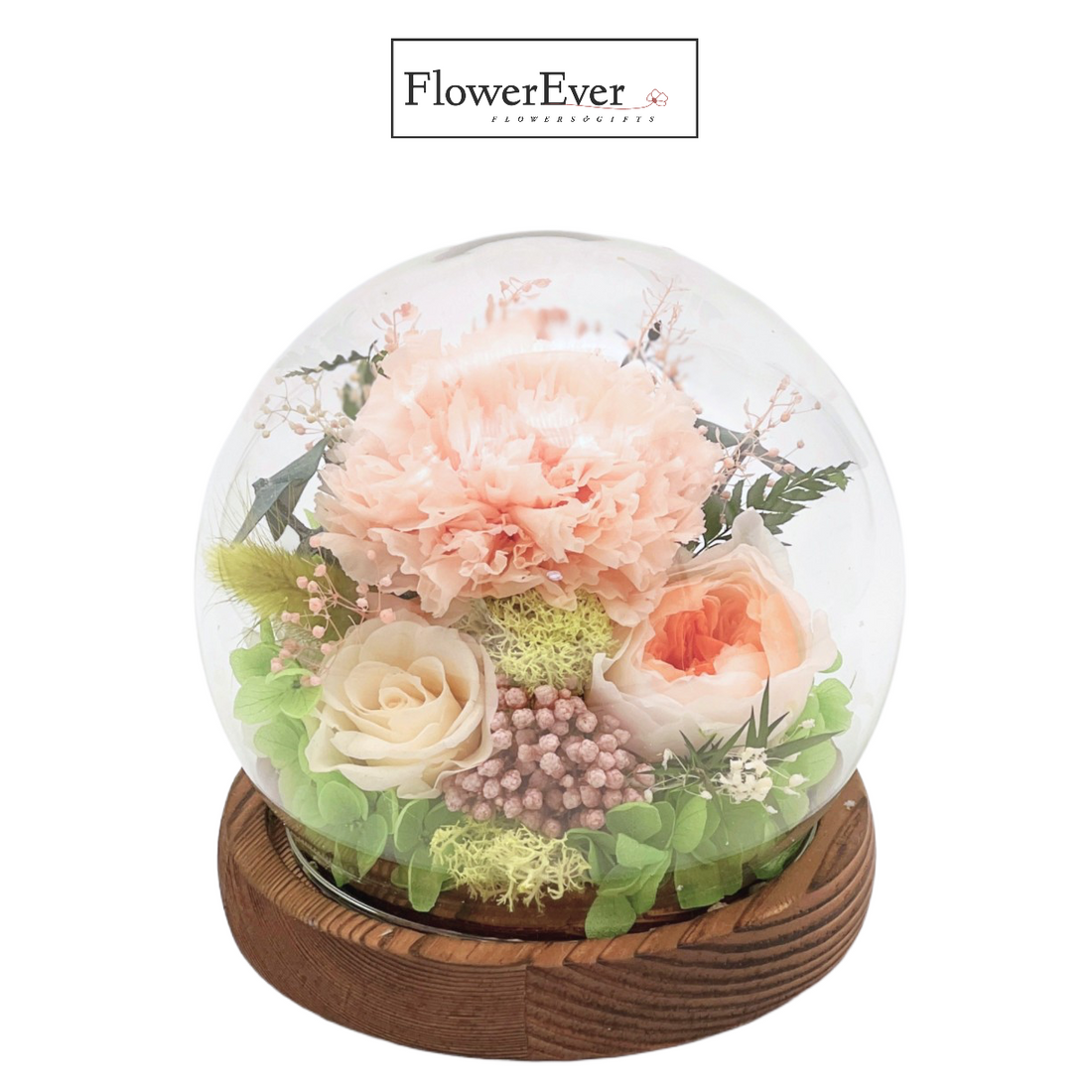 A glass dome containing vivid preserved white carnations