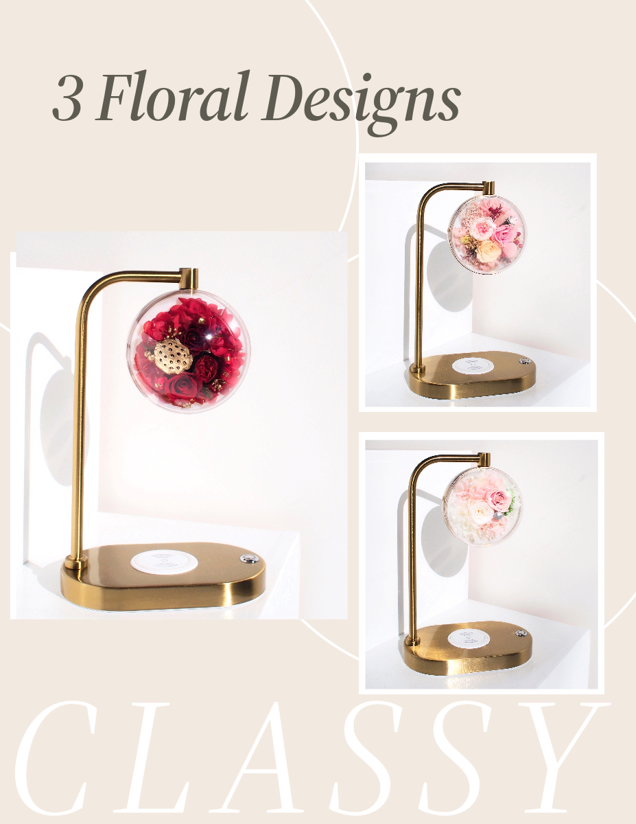 Preserved Real Rose Night Lamp w. Fast Wireless Phone Charging｜Modern Floral Gifts