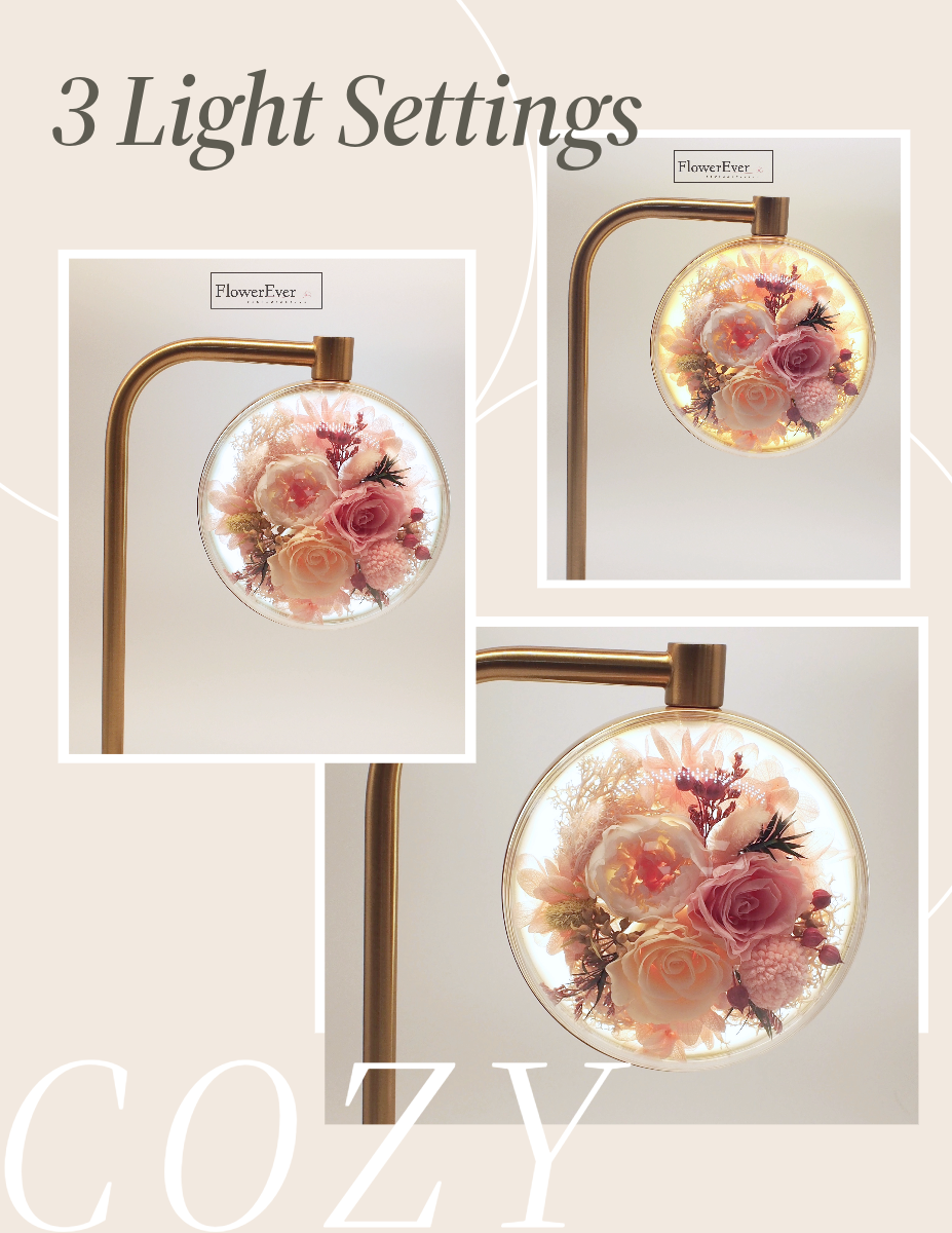 Preserved Real Rose Night Lamp w. Fast Wireless Phone Charging｜Modern Floral Gifts