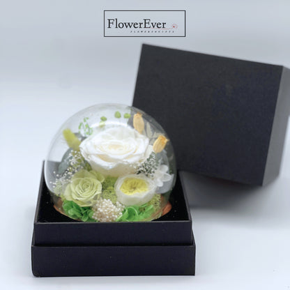 Preserved rose blooms and buds in sage and ivory under a transparent glass dome.