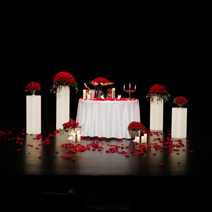 NYC Royal Beauty &amp; the Beast Proposal Decor Package｜Champagne + Red Roses