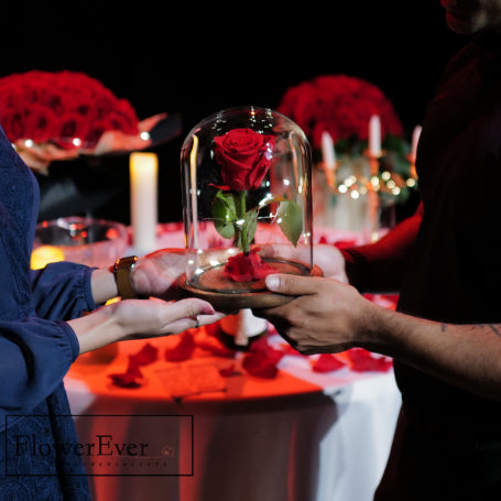 NYC Royal Beauty &amp; the Beast Proposal Decor Package｜Champagne + Red Roses