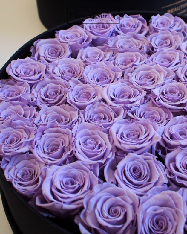 A stylish black gift box filled with 50 vivid purple preserved roses arranged as a floral gift.