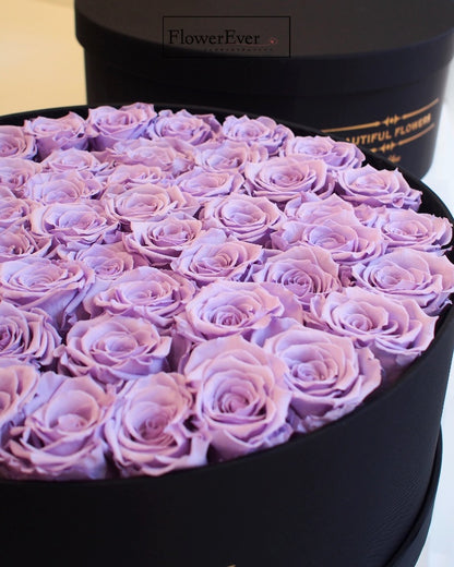 50 rich purple preserved rose blooms artistically arranged in a sleek black box as a floral gift.