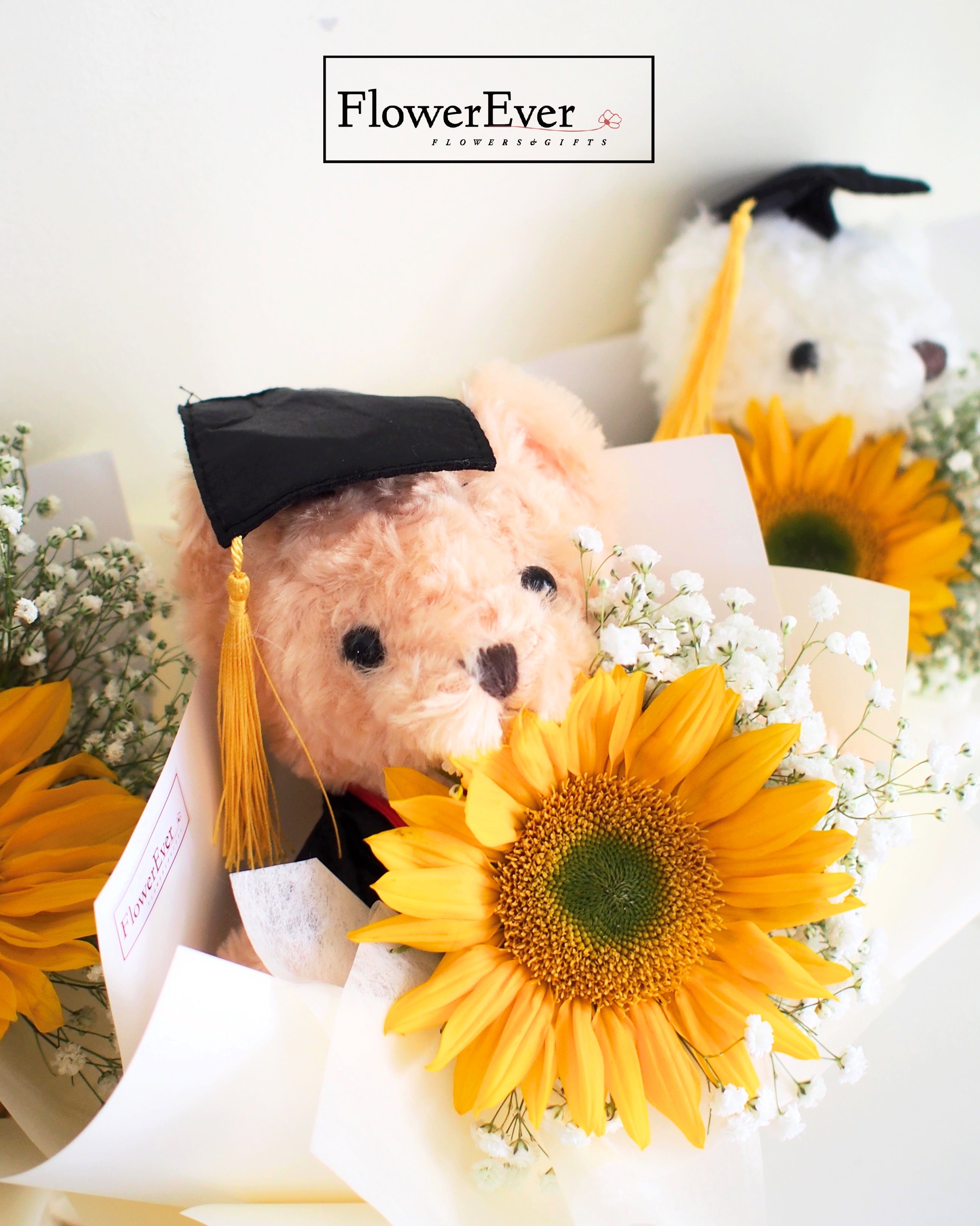 Sunflower Bouquet for Graduation with Beige Teddy Bear｜1 Stem