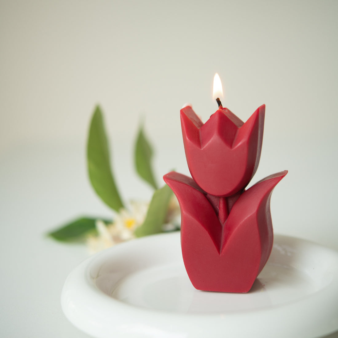 Indulge in the Tranquil Beauty of Spring Jasmine with the Tulip Candle