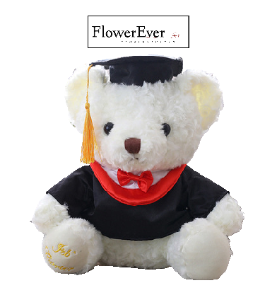 Cute Graduation Teddy Bear Gift for Graduates｜White, Brown, Black